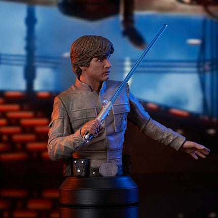 Luke Skywalker Star Wars Episode V Bust 1/6 15 cm